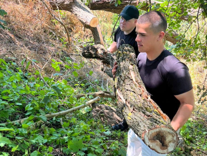 Волонтерська допомога