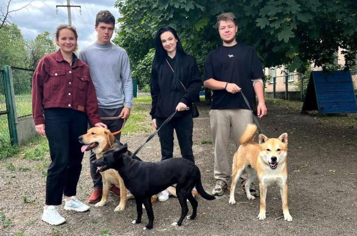 Волонтерська допомога безпритульним тваринам