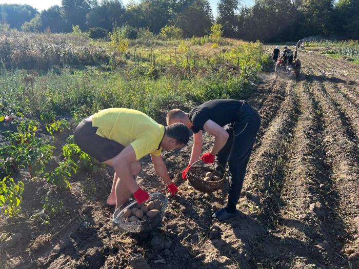 Волонтерська допомога 